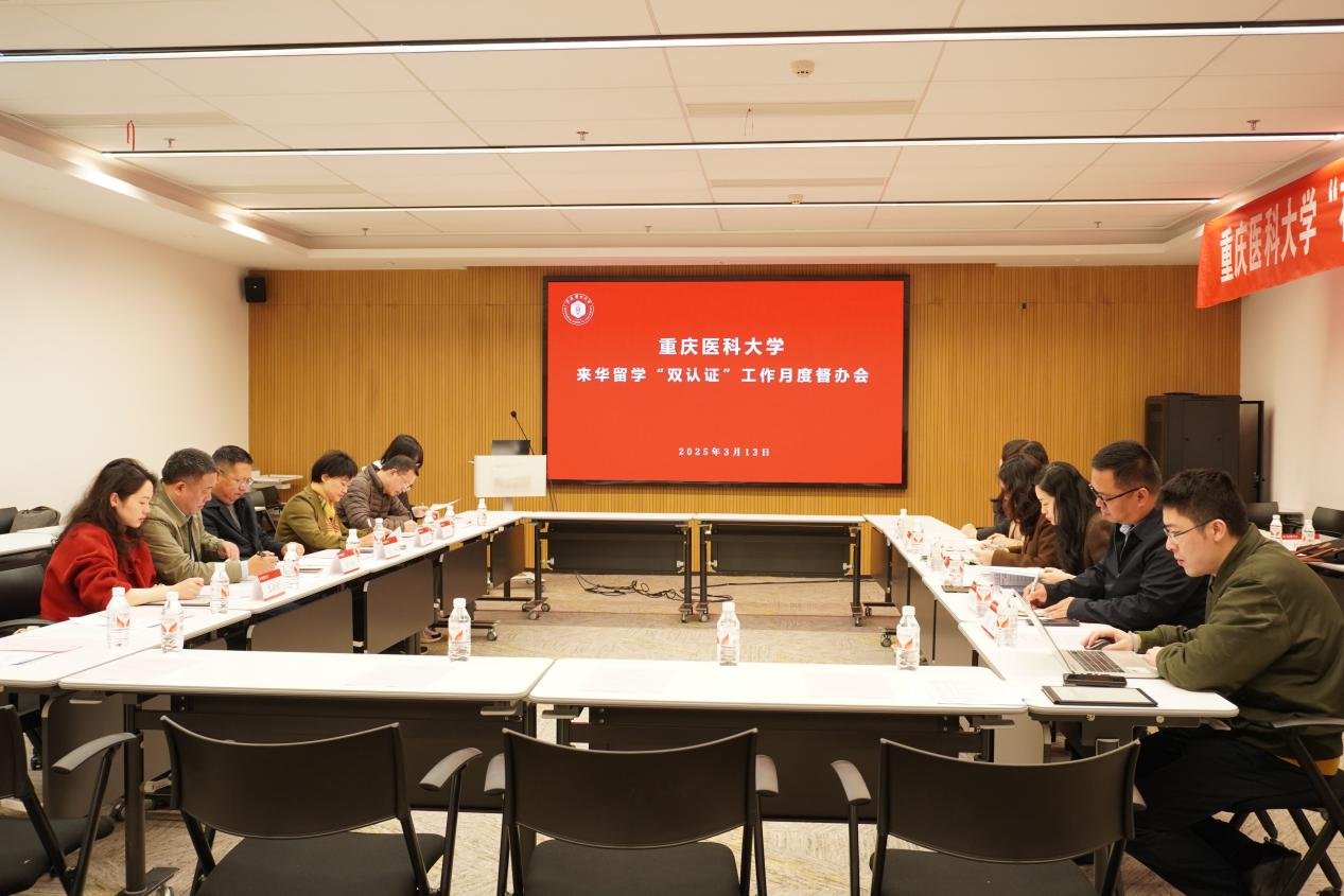 会议由国际合作与交流处处长