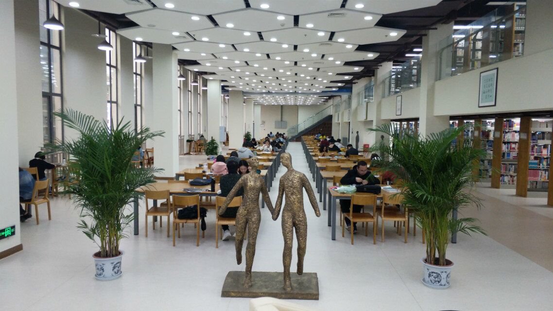 the library is an 