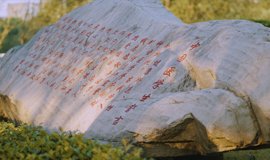 牛牛棋牌大厅手机版登录继续牛牛棋牌大